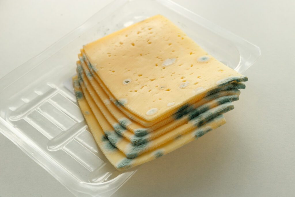 moldy,spoiled,hard,cheese,in,an,expired,plastic,transparent,package,